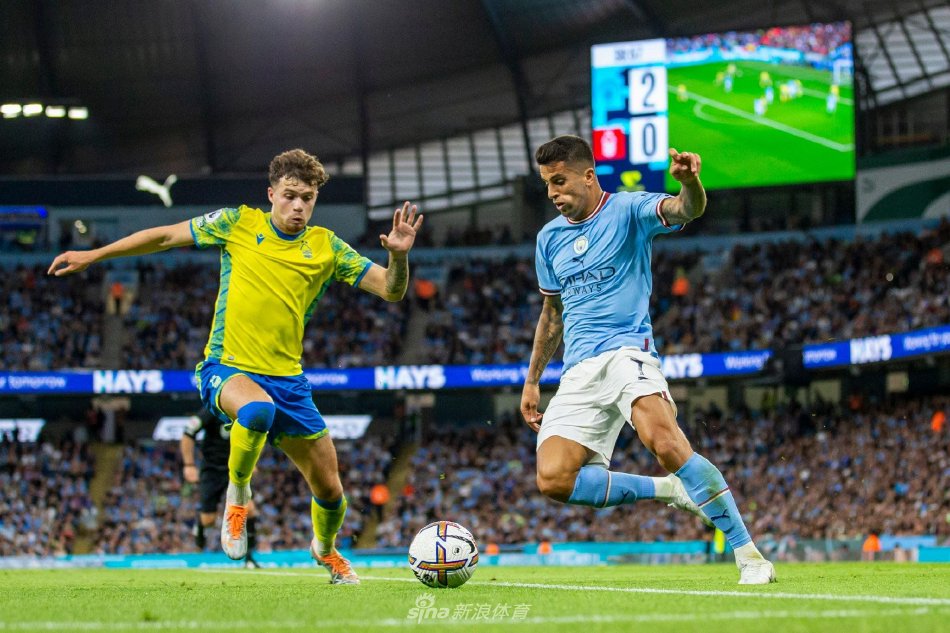 议显得尤为 议显得尤为