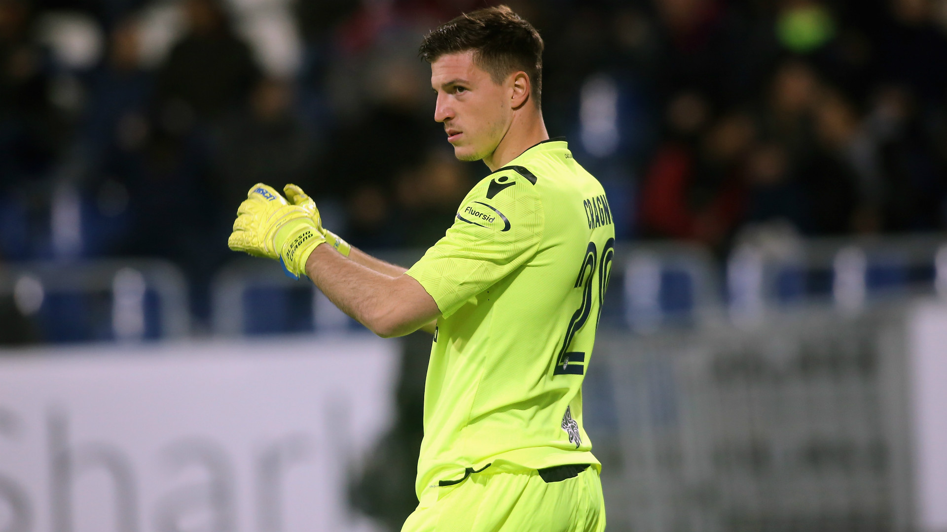 青岛双雄的 青岛双雄的