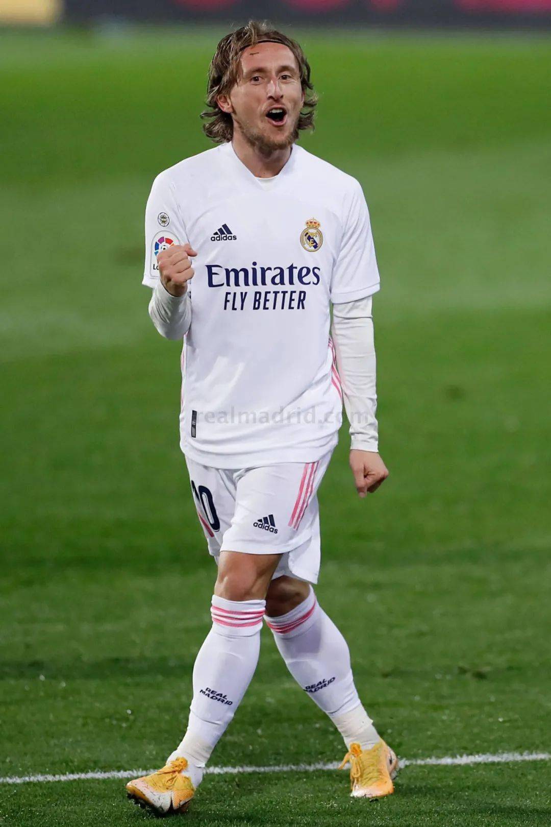 本赛季瓜迪 本赛季瓜迪